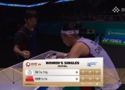 雷火电竞-日本队翻盘马来西亚队，陈雨菲带队取胜