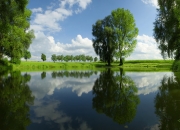 雷火电竞简介-唯一性之证，哈利伯顿跨洋节奏风暴，骑士险胜广东