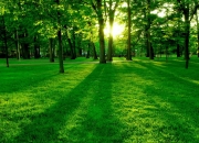 雷火电竞简介-绝对掌控力！骑士稳稳拿下浙江队，布克关键三分+绝命抢断锁定胜局