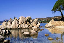 开云体育入口-内马尔点燃！圣殿狂欢夜诠释足球信仰