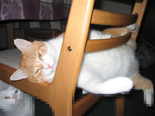 唯一性之证,哈利伯顿跨洋节奏风暴,骑士险胜广东