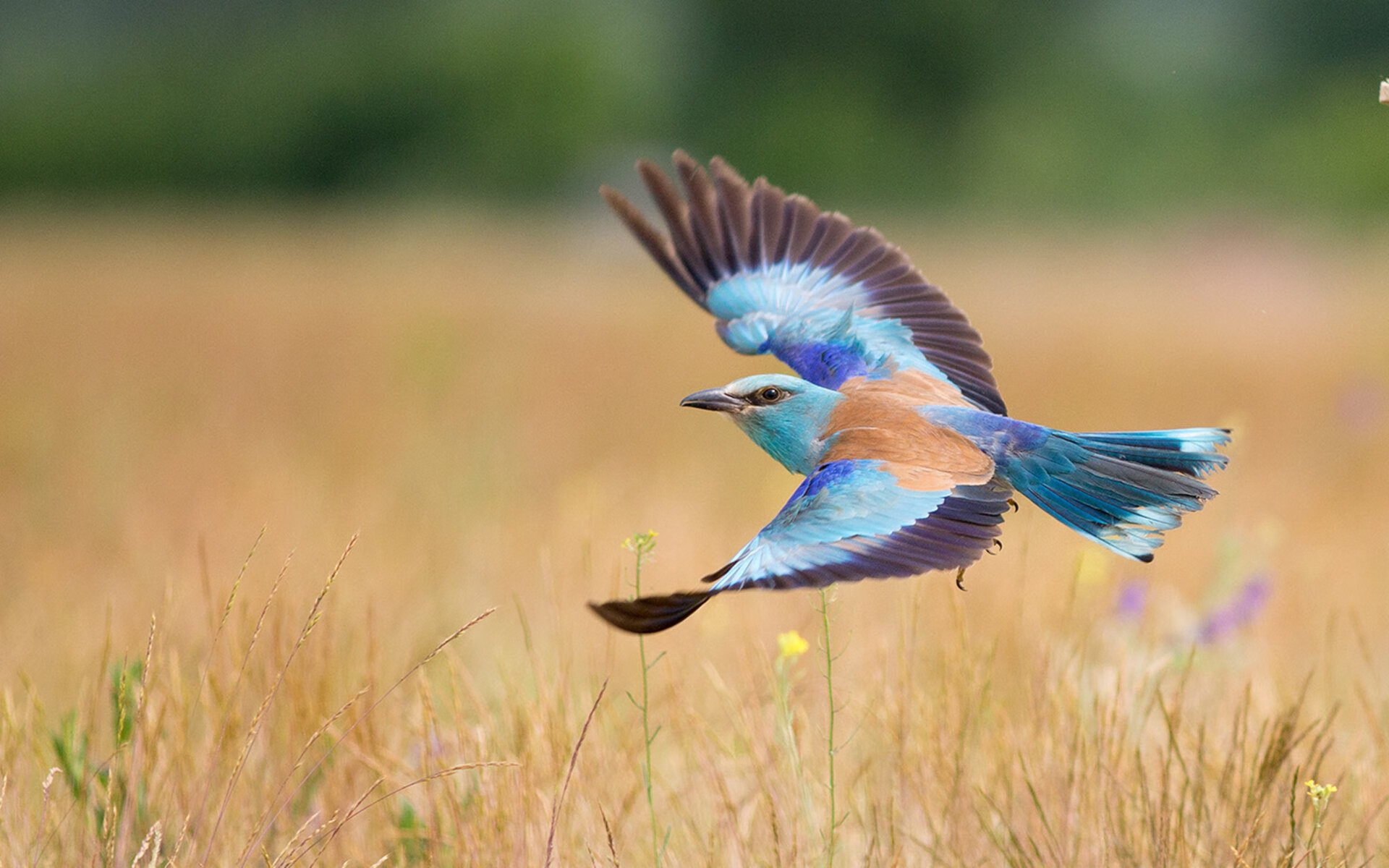 当上海遇见布鲁克林，拉文生涯之夜的唯一性，如何在一场不存在的比赛中诞生？